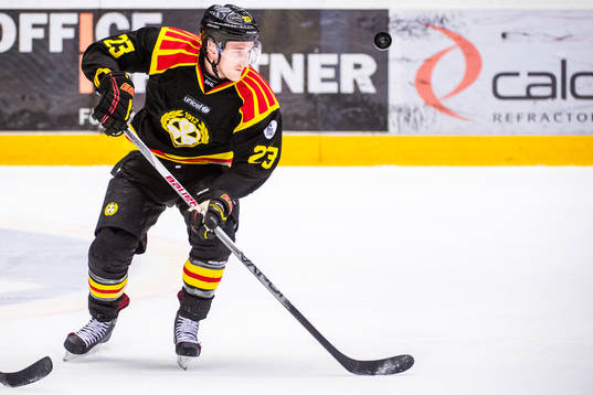 Brynäs Bill Sweatt