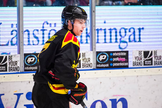 Brynäs Christian Djoos deppar
