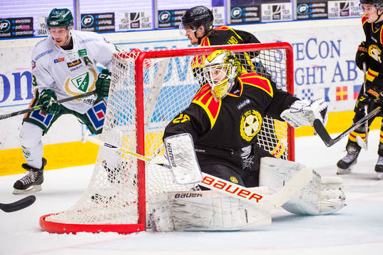Brynäs målvakt Bernhard Starkbaum