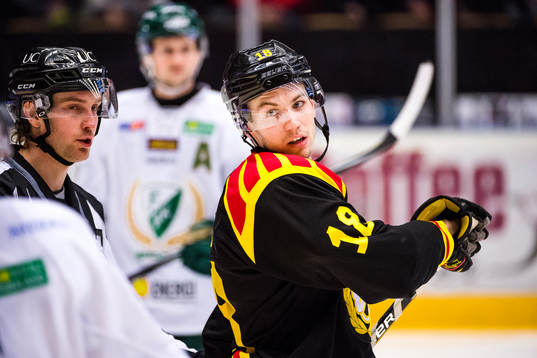 Brynäs Anton Rödin
