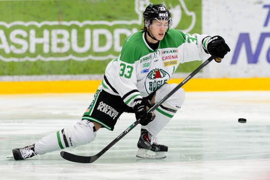 Rögles Niklas Hansson täcker skott