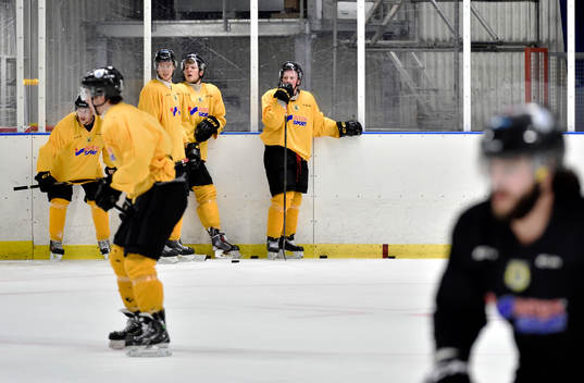 Ishockeylaget Pantern ska kvala till Allsvenskan. I