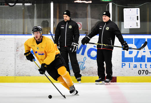 Ishockeylaget Pantern ska kvala till Allsvenskan. I