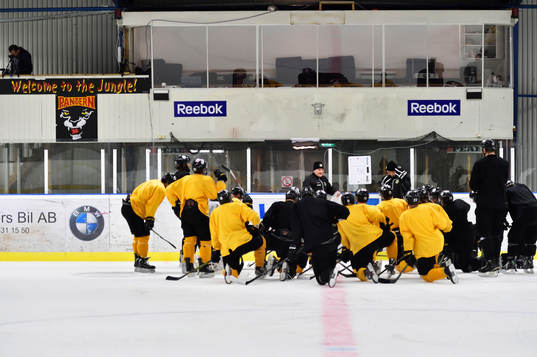 Ishockeylaget Pantern ska kvala till Allsvenskan. I