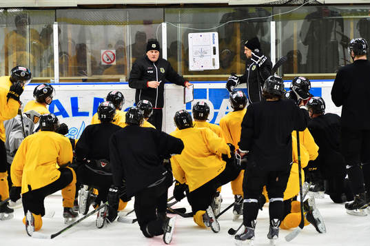 Ishockeylaget Pantern ska kvala till Allsvenskan. I