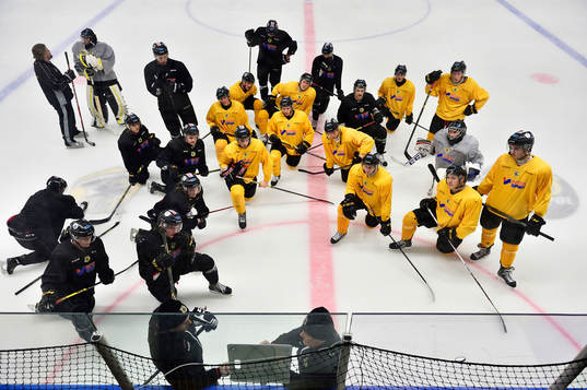 Ishockeylaget Pantern ska kvala till Allsvenskan. I