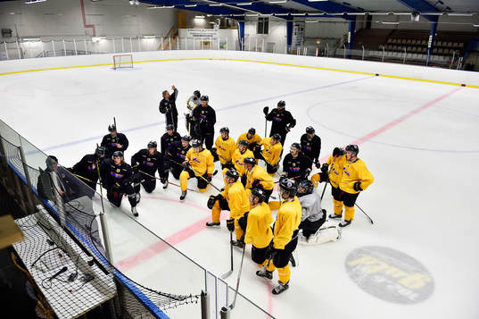 Ishockeylaget Pantern ska kvala till Allsvenskan. I