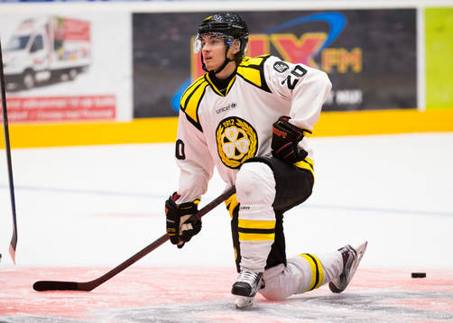 Brynäs Adam Brodecki
