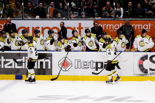 Brynäs jublar