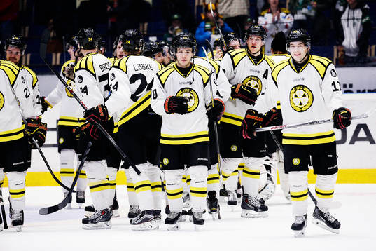 Brynäs spelare jublar