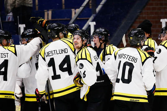 Brynäs spelare jublar