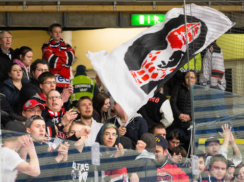 Malmö Redhawks supporters jublar på läktaren
