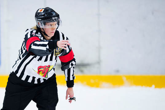 Domare Katarina Timglas