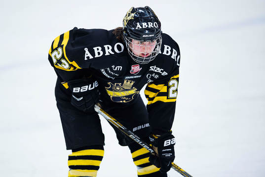 s Louise Nordberg-Tenglin