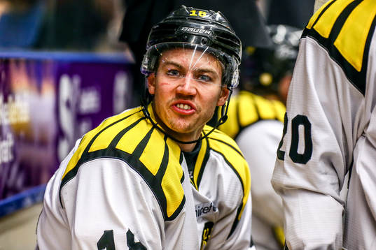 Brynäs Anton Rödin skriker på Skellefteås Pontus