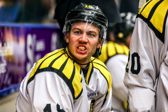 Brynäs Anton Rödin skriker på Skellefteås Pontus
