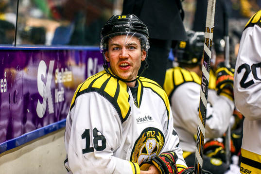 Brynäs Anton Rödin skriker på Skellefteås Pontus