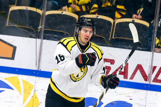 Brynäs Anton Rödin jublar