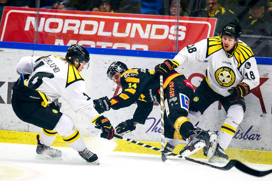 Skellefteås Daniel Widing