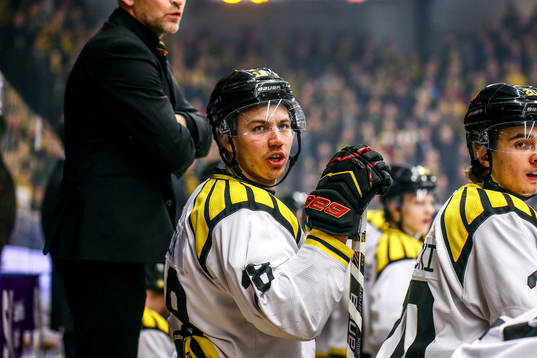 Brynäs Anton Rödin skriker på Skellefteås Pontus