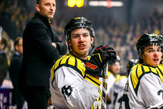 Brynäs Anton Rödin skriker på Skellefteås Pontus