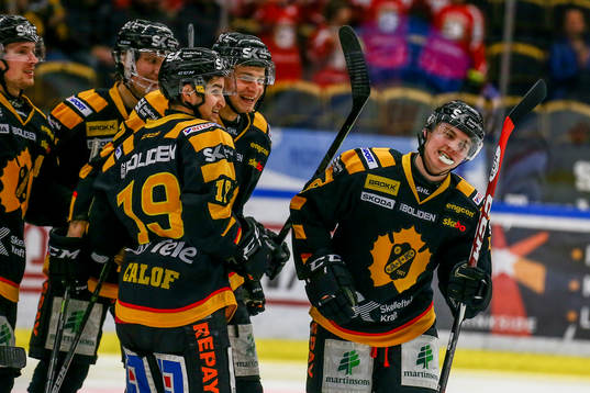 Skellefteås Sebastian Aho jublar