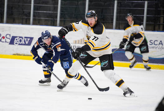 Panterns Patrik Magnusson med puck jagas av Sundsvalls