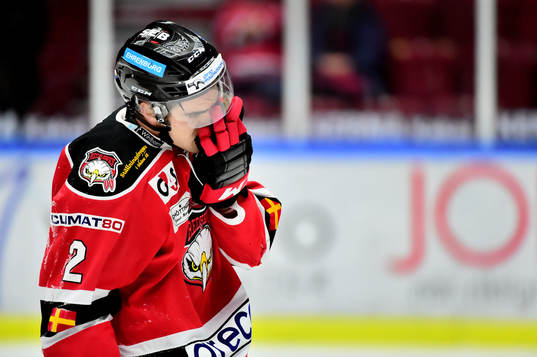 Malmö Redhawks Nils Andersson deppar