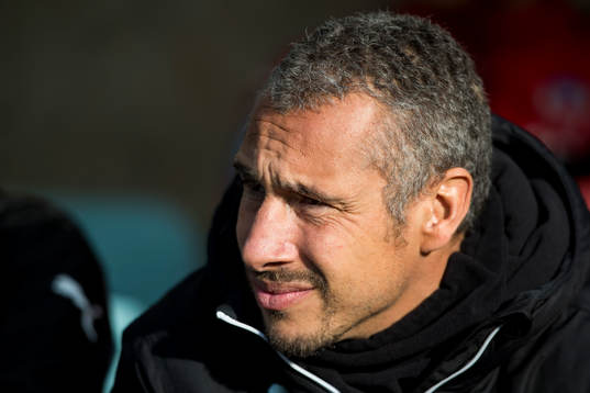 Helsingborgs manager Henrik Larsson