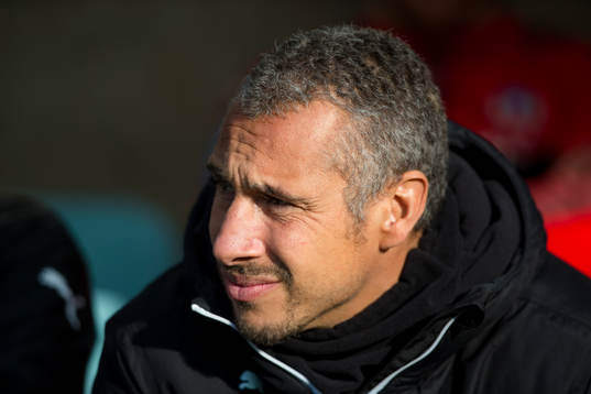 Helsingborgs tränare Henrik Larsson