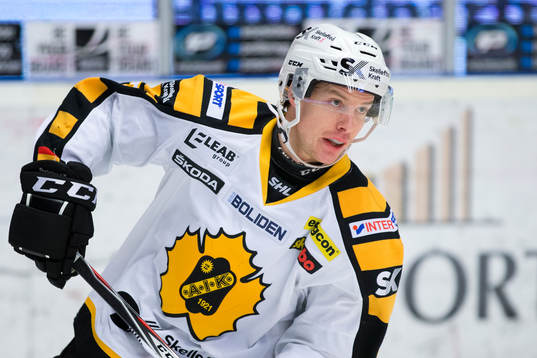 Skellefteå Niclas Burström