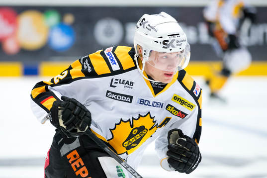 Skellefteå Adam Pettersson