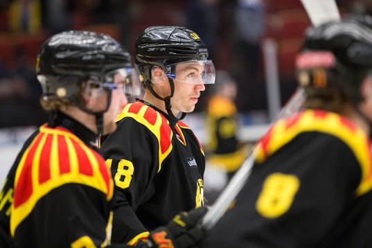 Brynäs Anton Rödin