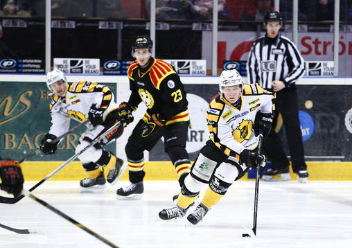 Skellefteå Patrik Zackrisson