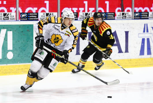 Skellefteå Martin Sevc och Brynäs Adam Deutsch