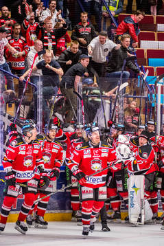 Malmö Redhawks spelare och supportrar jublar