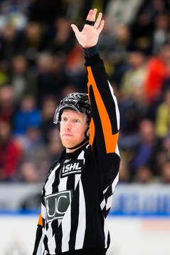 Domaren Mikael Holm