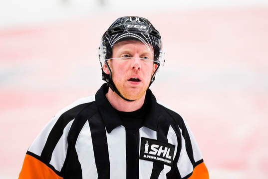 Domaren Mikael Holm