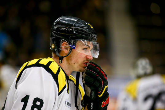 Brynäs Anton Rödin