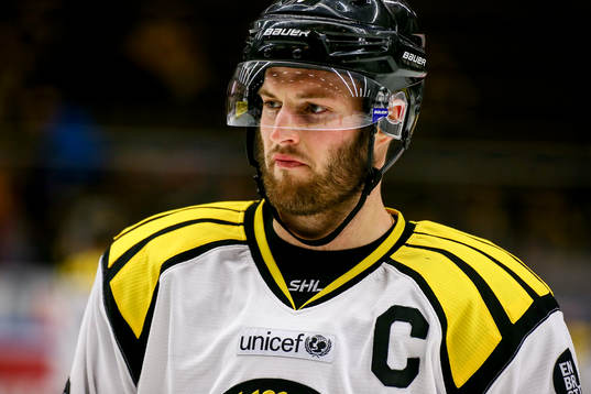 Brynäs Niclas Andersen