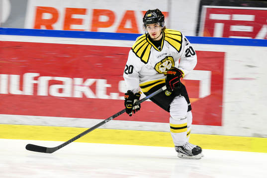 Brynäs Adam Brodecki