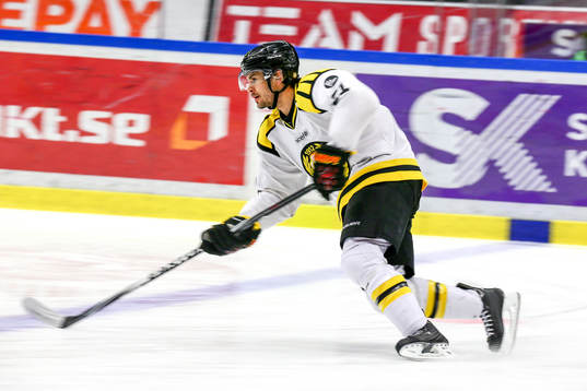 Brynäs Tim Wallace