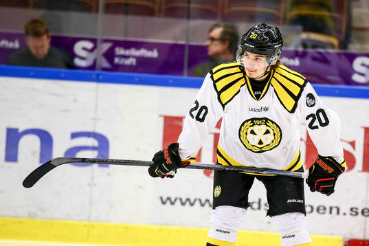 Brynäs Adam Brodecki