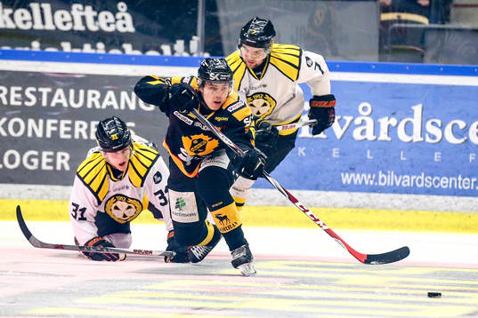 Skellefteås Sebastian Aho