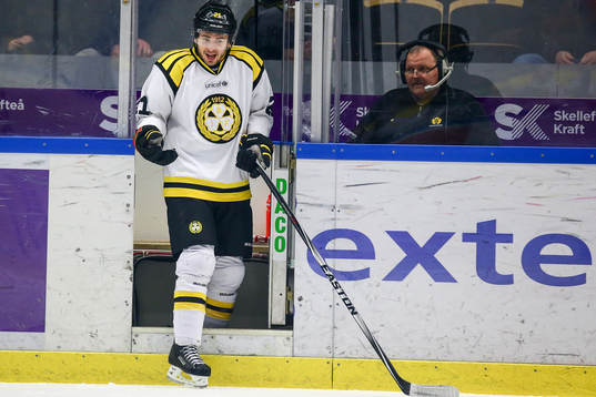 Brynäs Tim Wallace