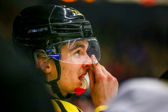 Brynäs Adam Brodecki
