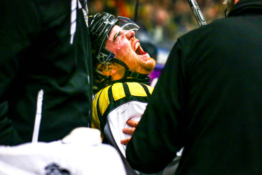 Brynäs Ponthus Westerholm