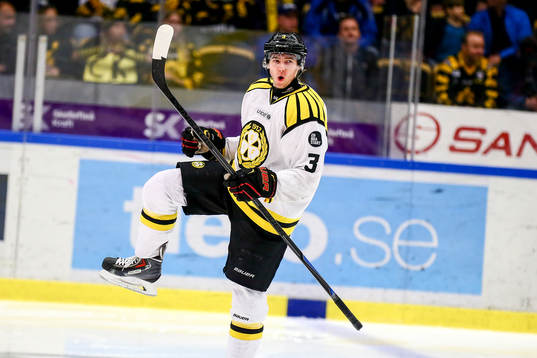 Brynäs Christian Djoos  jublar
