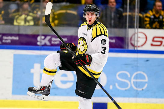 Brynäs Christian Djoos  jublar