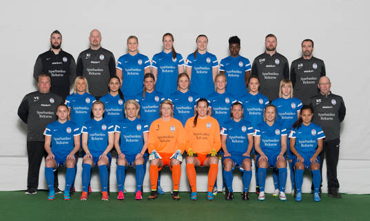 Lagbild för Eskilstuna i Damallsvenskan